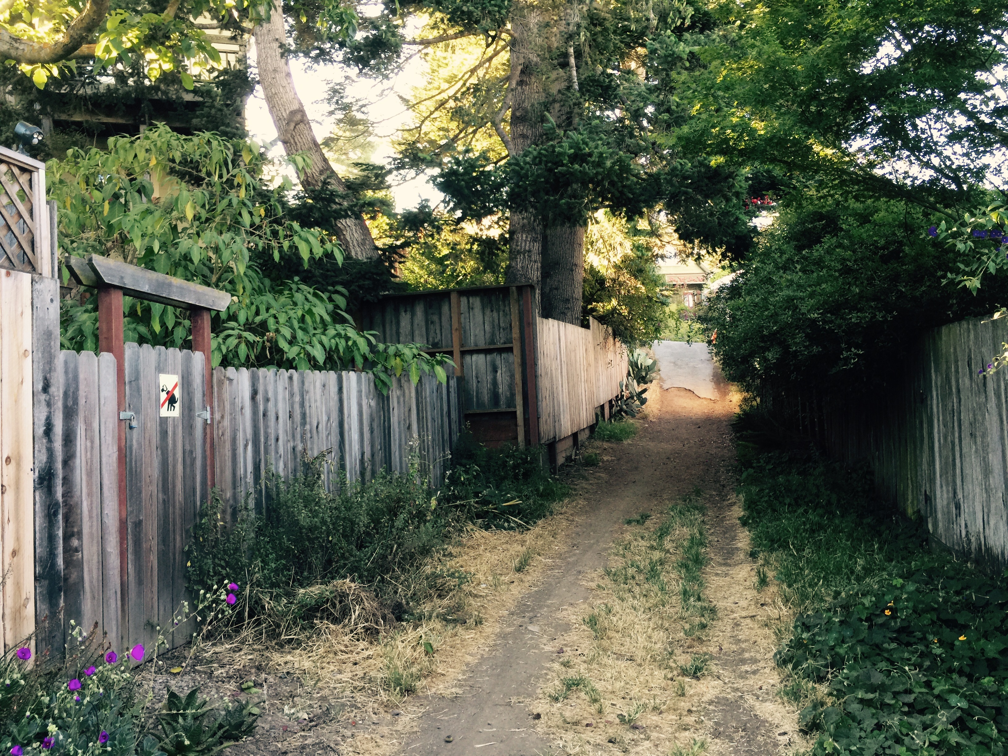 An alley near Glen Park