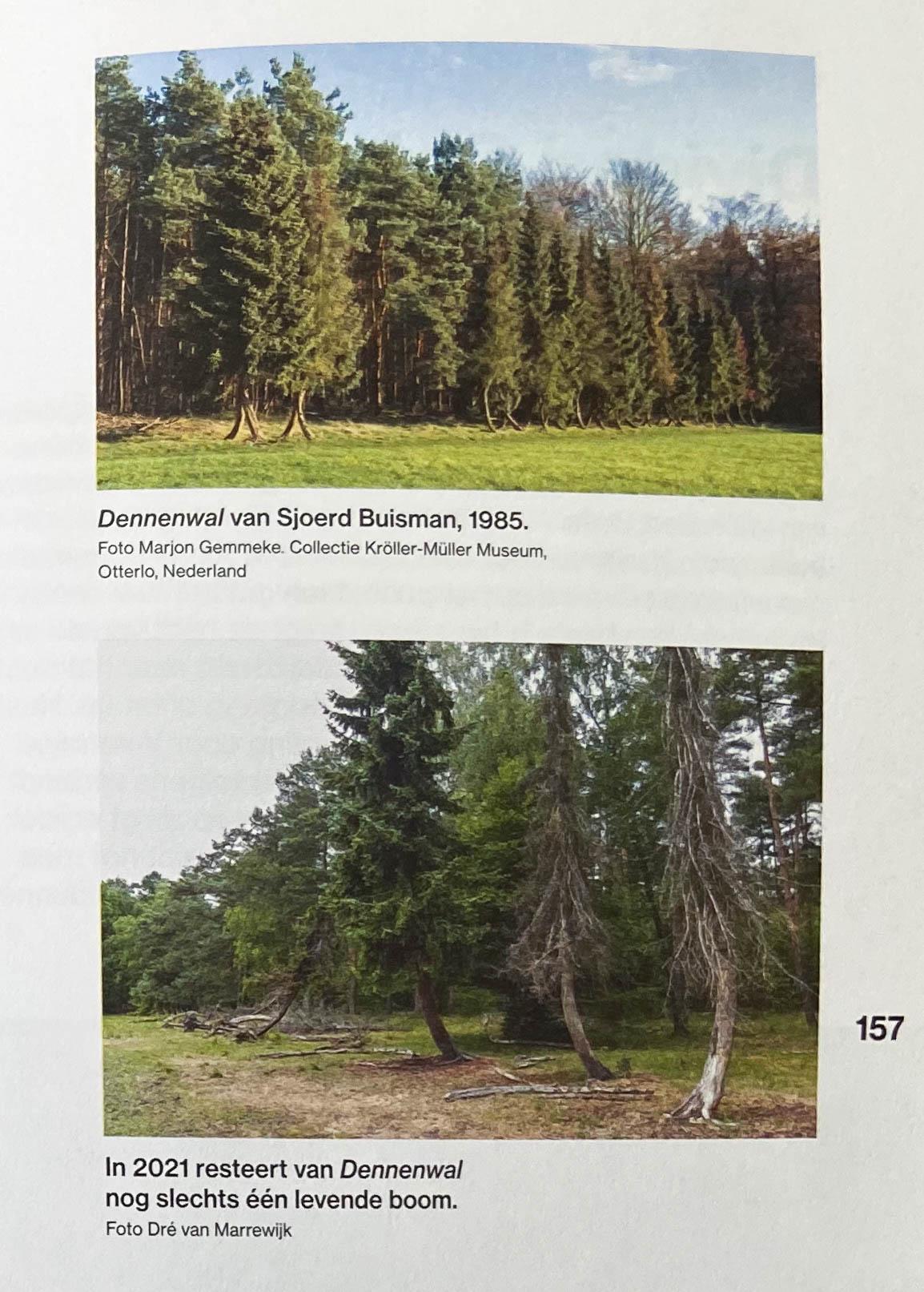a scan from a book with photographs of Pine Wall showing 4 standing trees