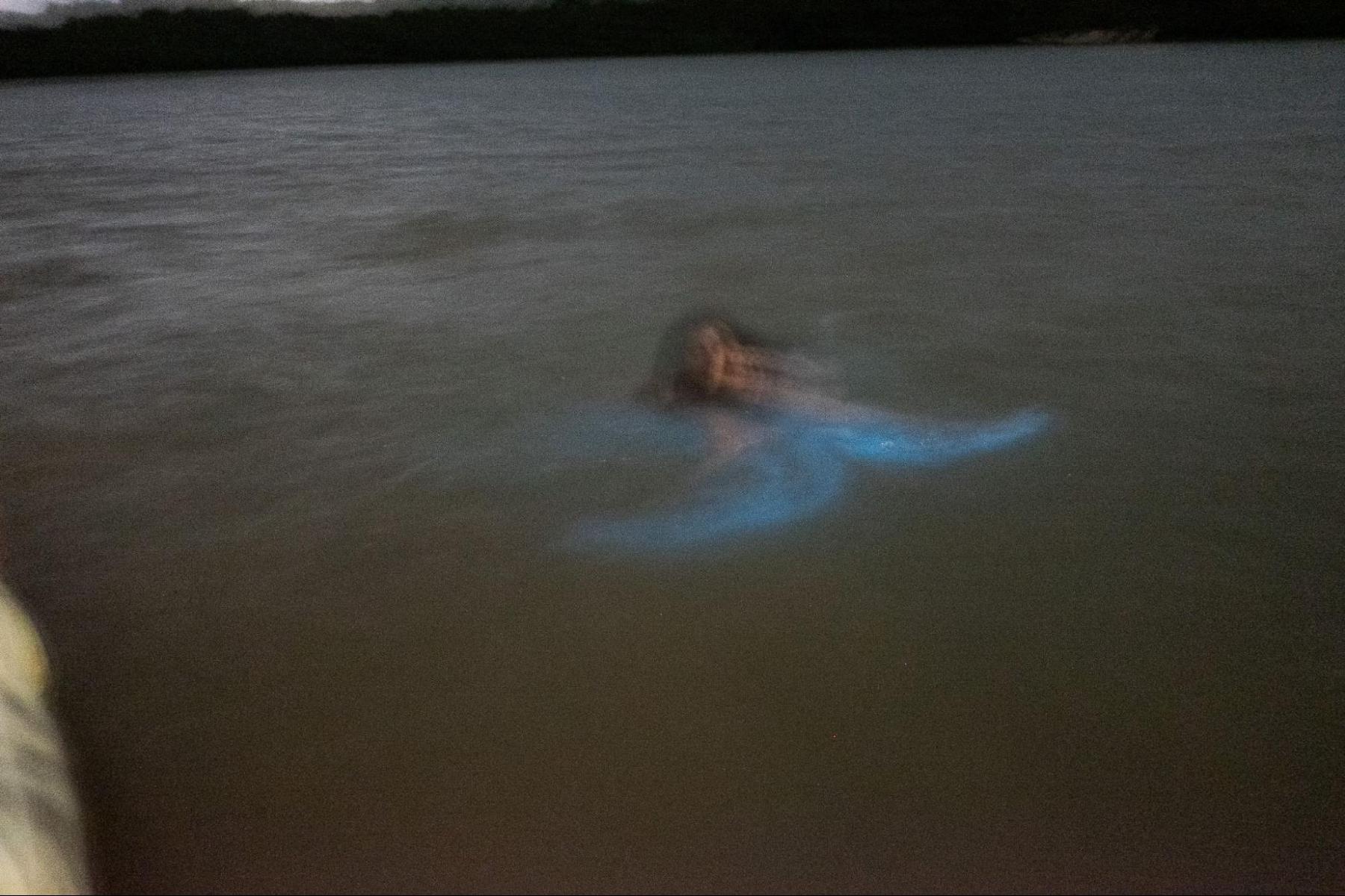 swimming in the luminous lagoon