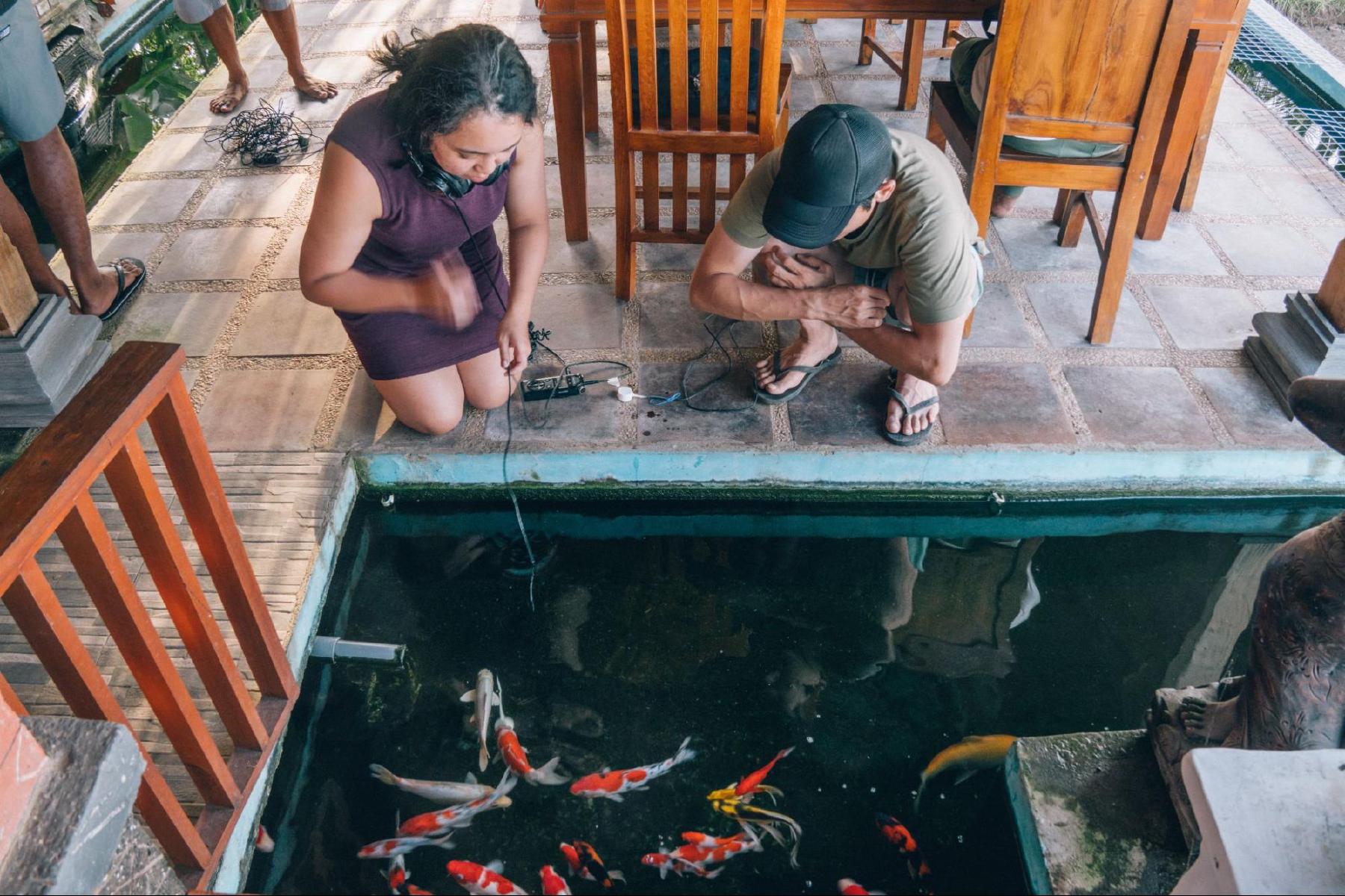 Testing hydrophones in the koi pond