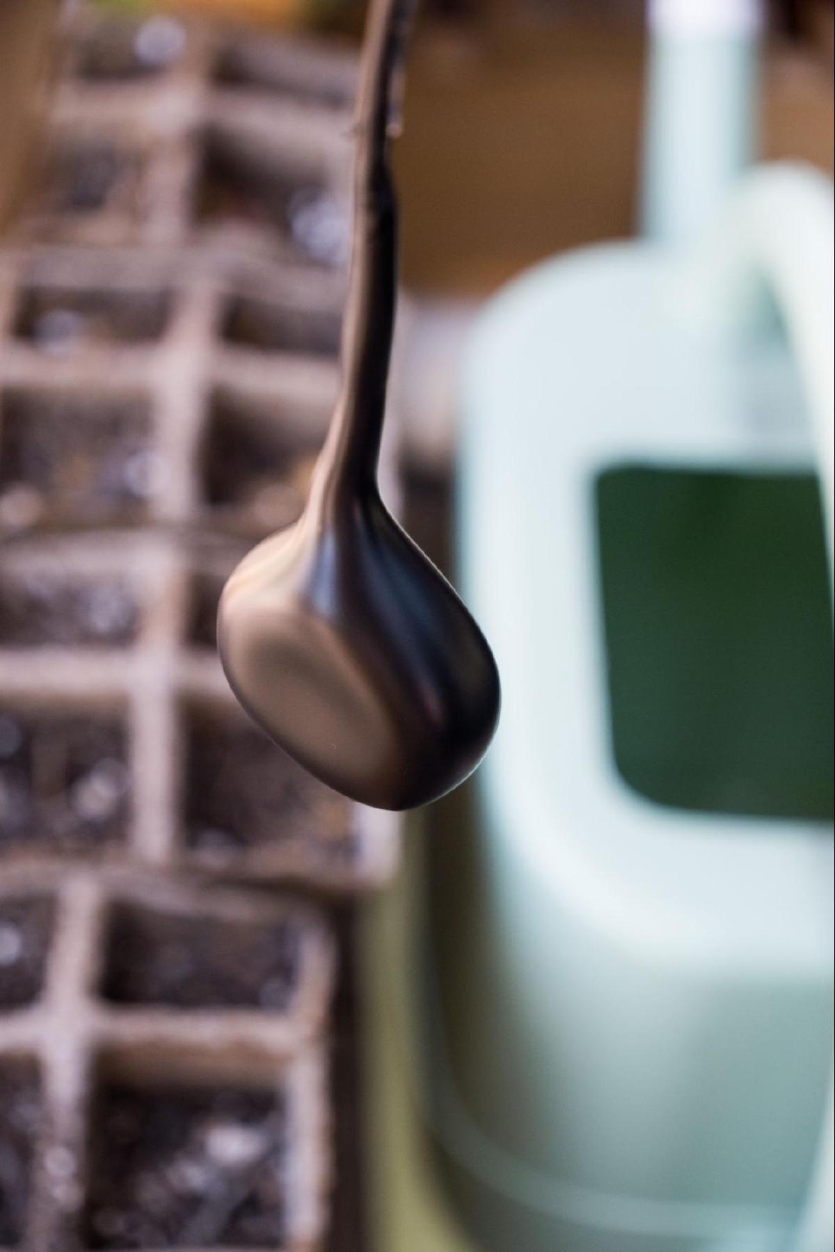 Fully dried hydrophone