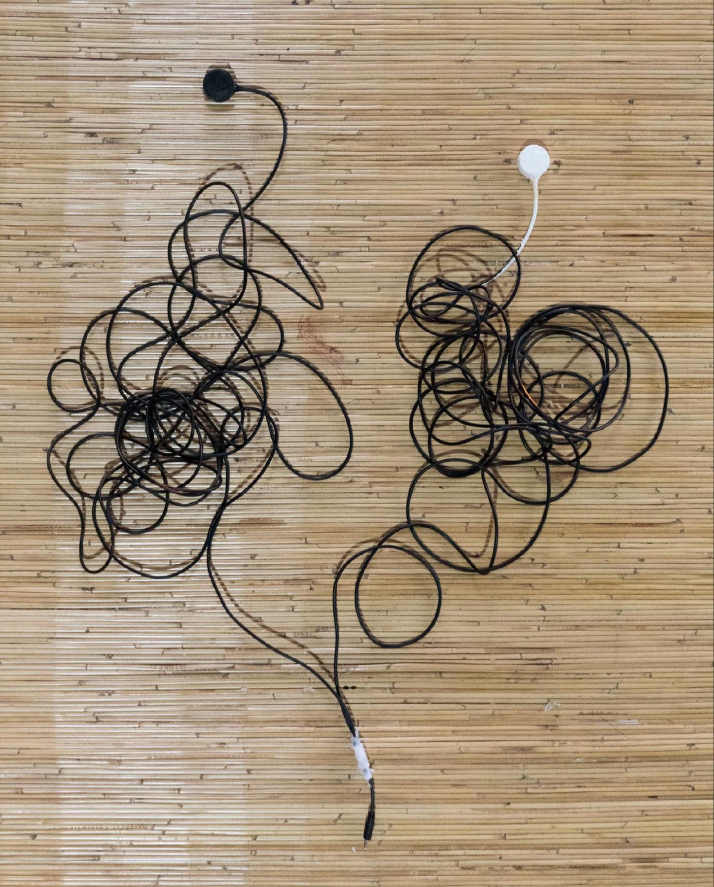 Stereophonic hydrophone setup