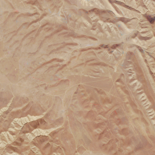 Possibly medical satellite image